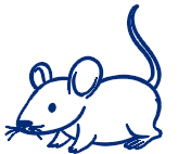 Live Animals